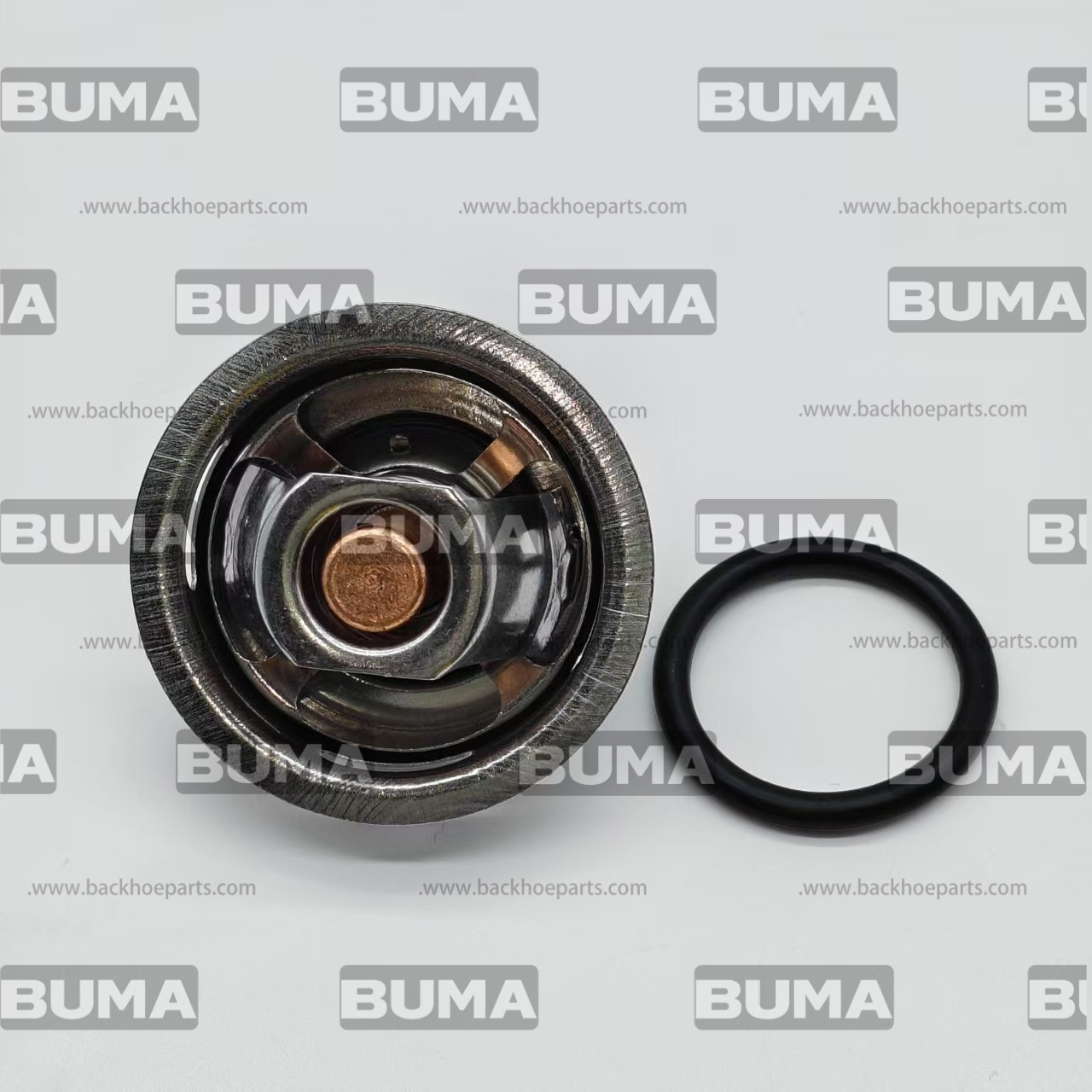 51-8010 Thermostat