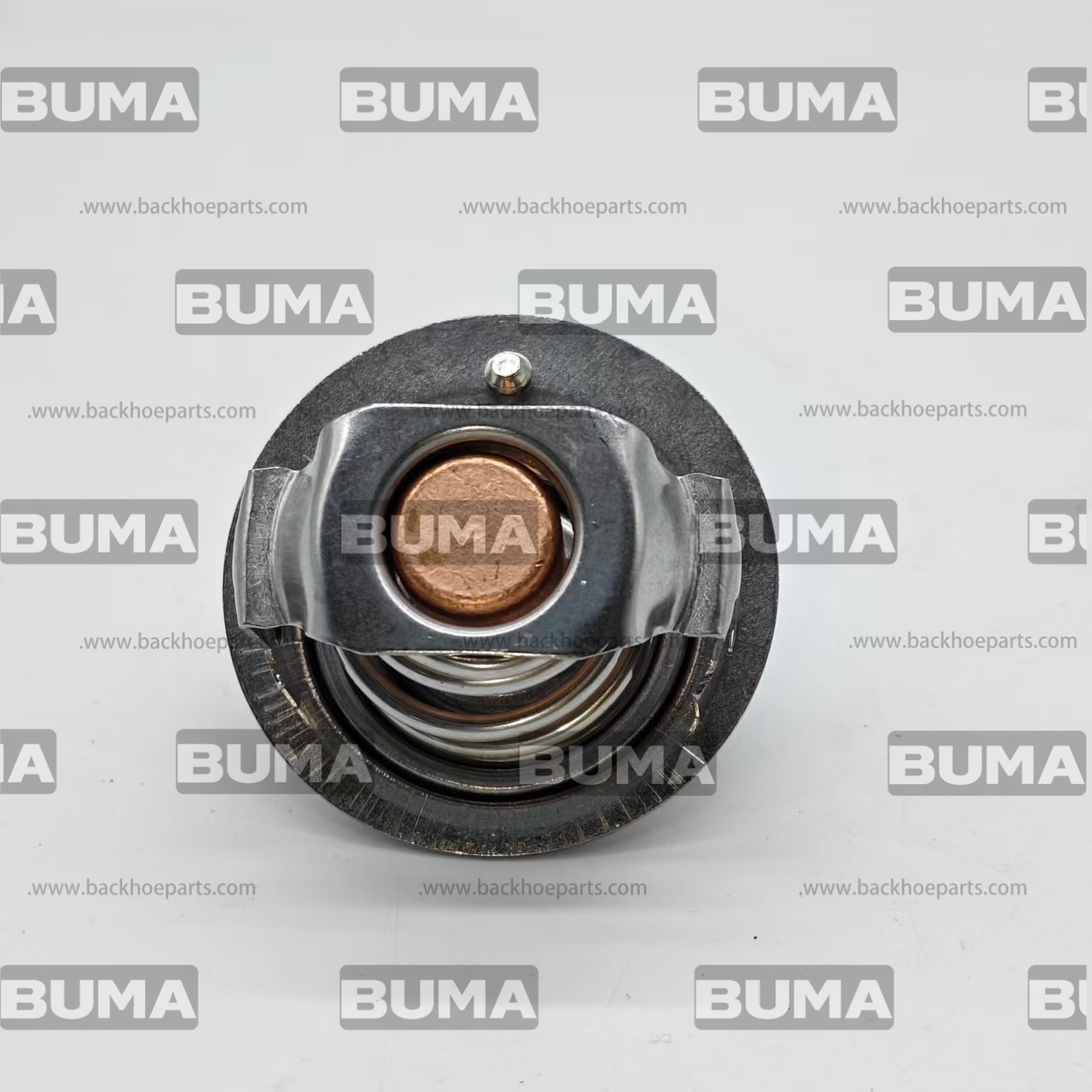 1958473 Water Temperature Regulator