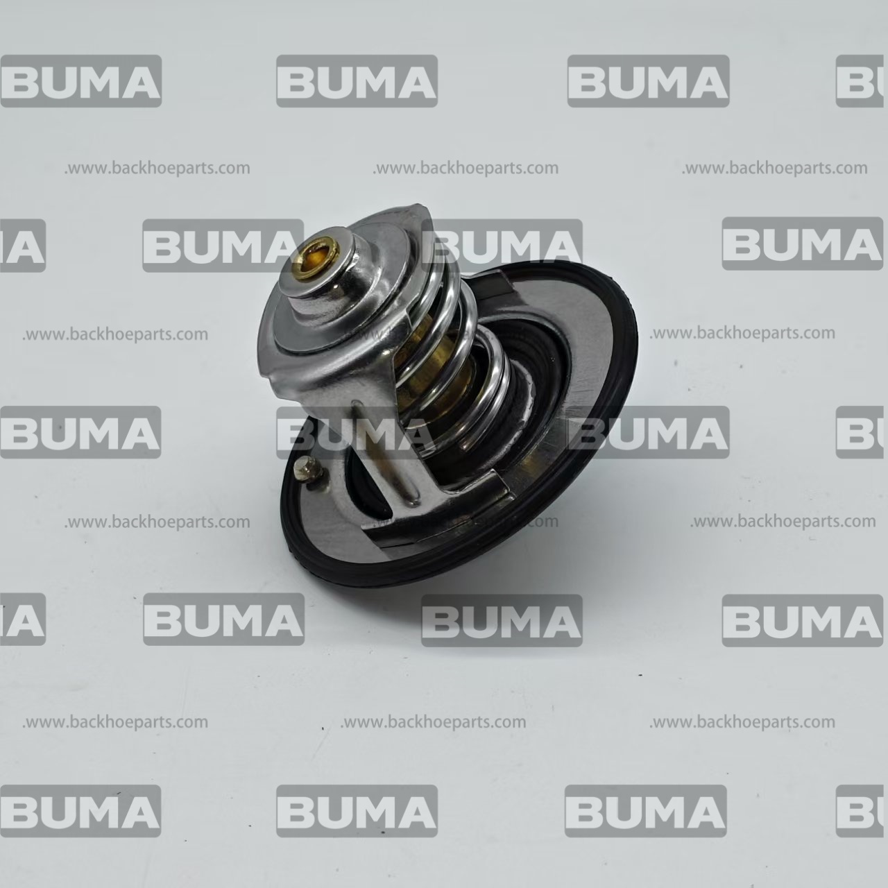 504384724 Thermostat For Case