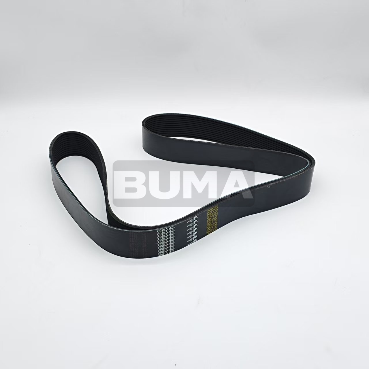 212-8585 Belt
