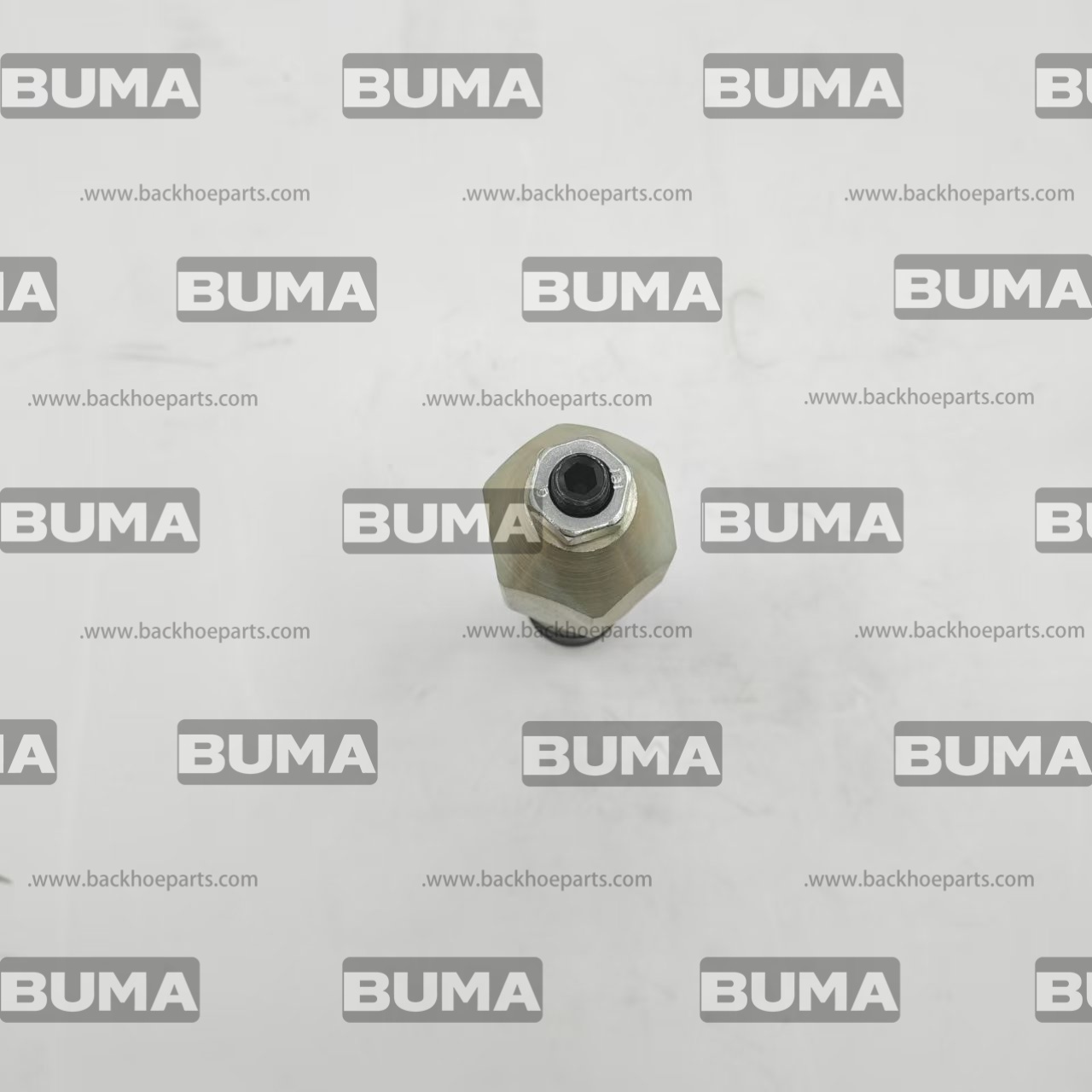 25/966100 Check Valve For JCB