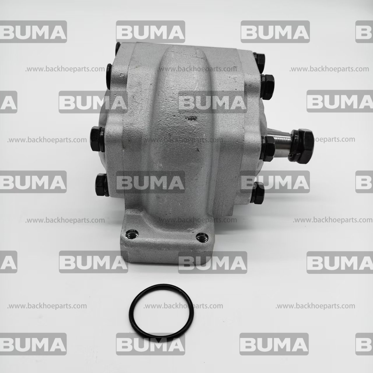 308873A1 Hydraulic Gear Pump For Case