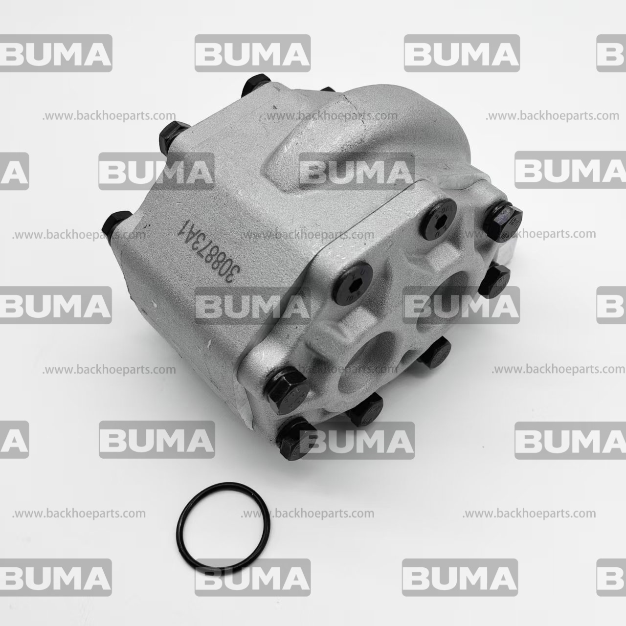 308873A1 Hydraulic Gear Pump For Case